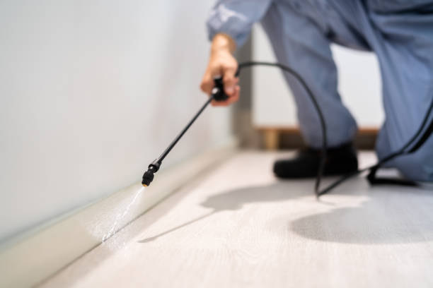 Certified termite inspector examining foundation in Bremen