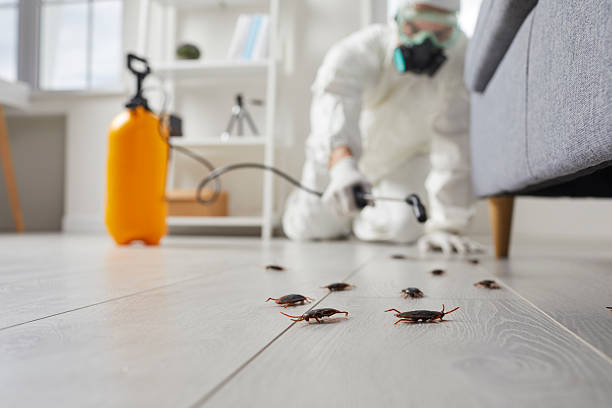 Commercial Rodent Management in Bremen